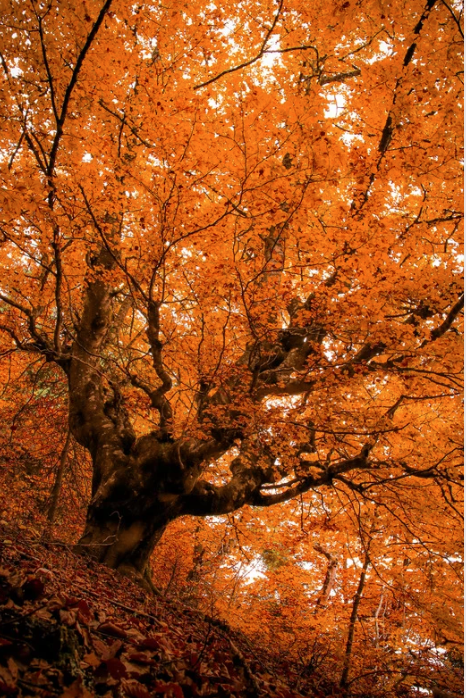 A Fresh Start Requires Letting Go