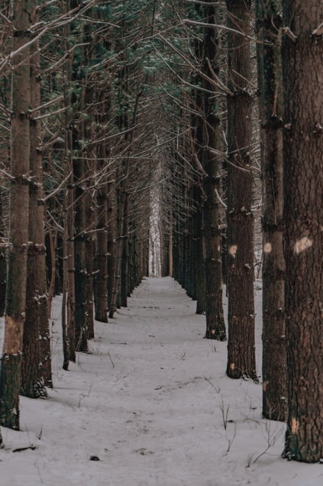 Taking the First Step: How to Begin When You Don’t Know Where to Start