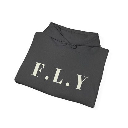 FLY Graphic Hoodie — Bold Minimalist Streetwear Sweatshirt